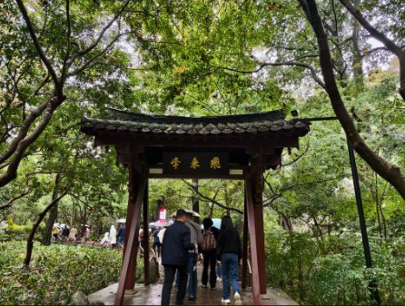 1733044285160364.png 0892ece7-7856-491f-b4fb-434456f5e5f3.png