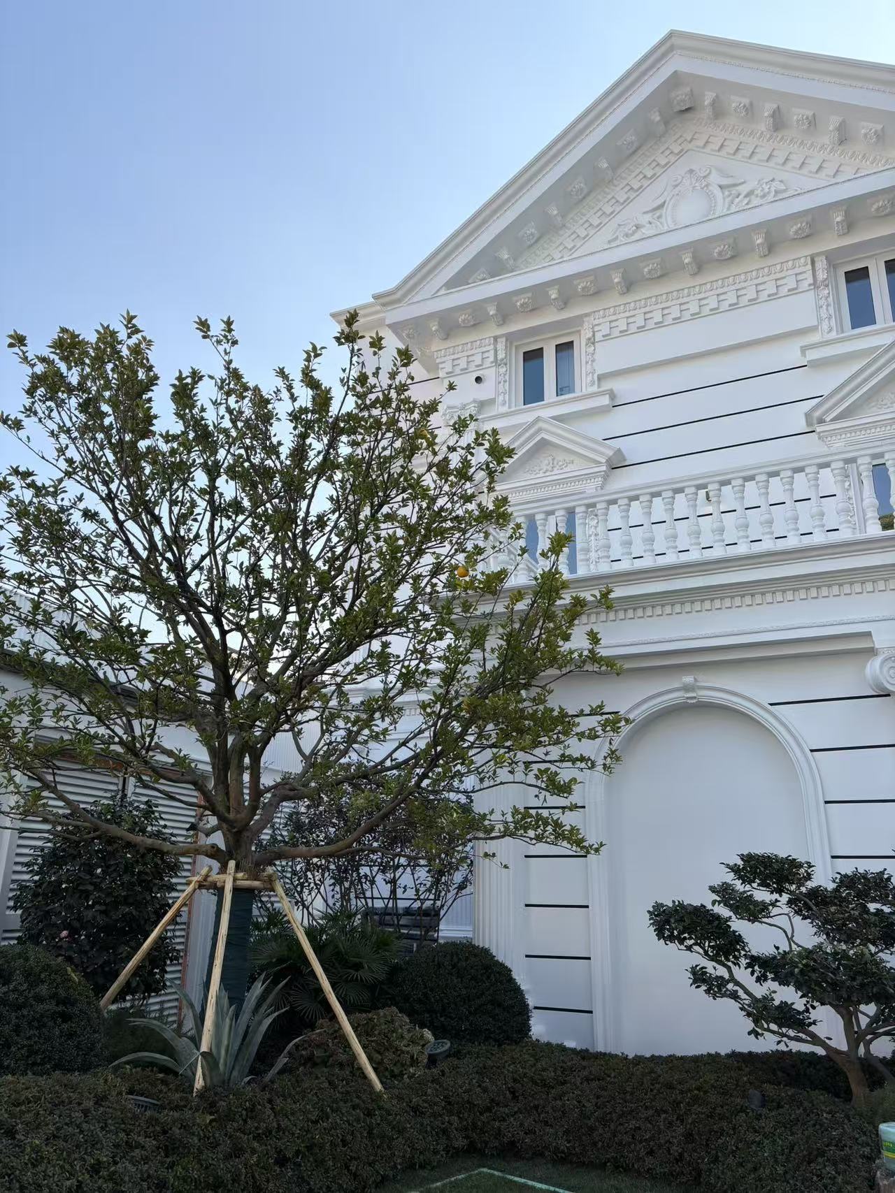 上海虹許路歐式別墅紗窗項目落地-韋柏網業